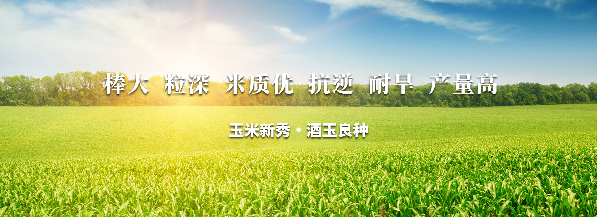 首頁(yè)輪換圖