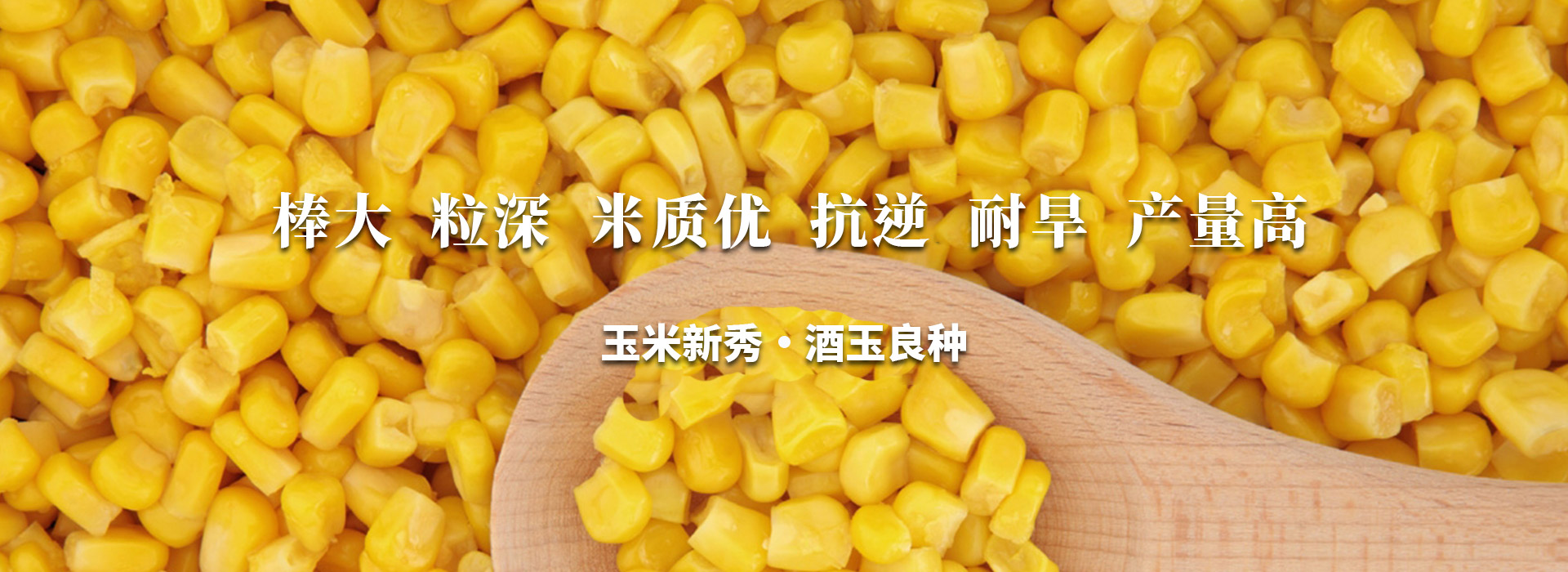 首頁(yè)輪換圖