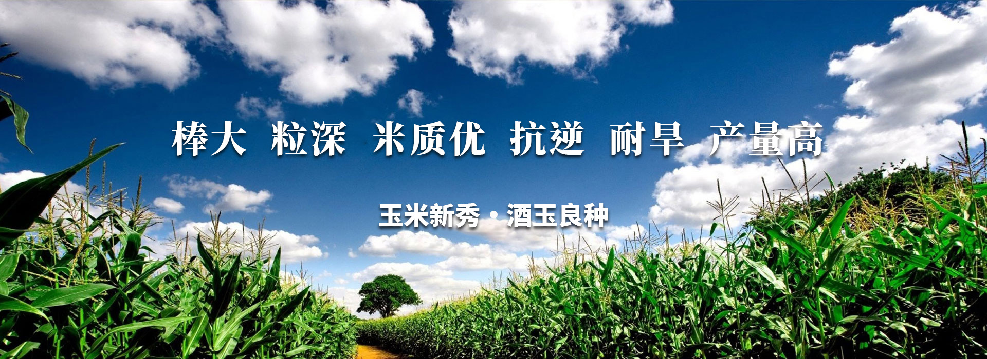 首頁(yè)輪換圖